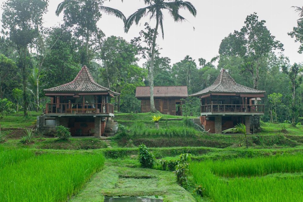 Tepi Sawah Lodge & Retreat Image 7