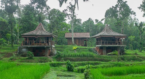 Tepi Sawah Lodge & Retreat image 8