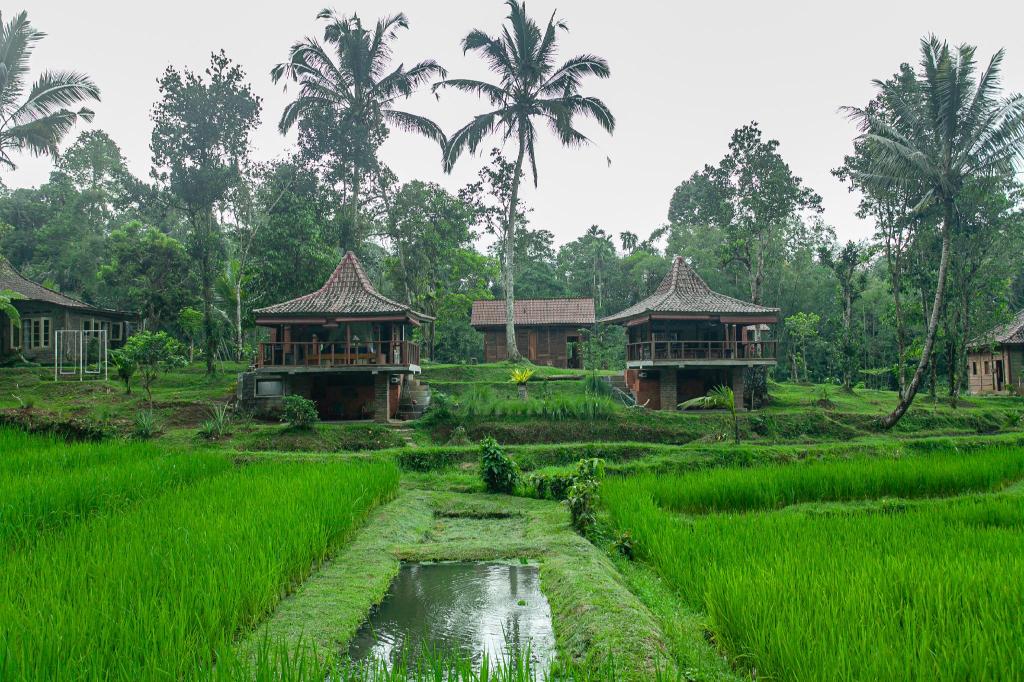 Tepi Sawah Lodge & Retreat