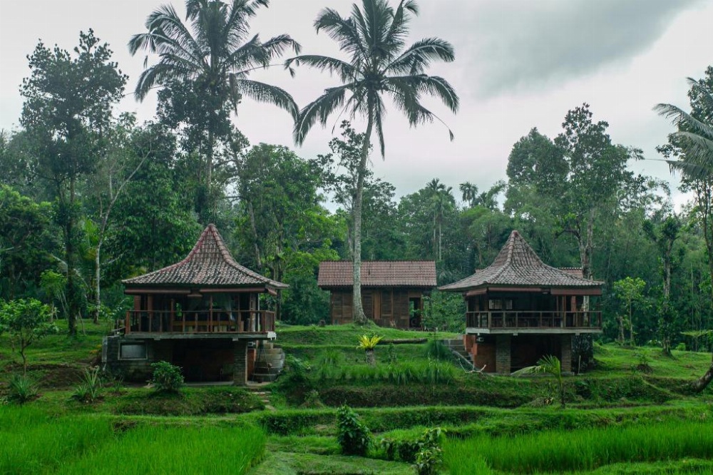 Tepi Sawah Lodge & Retreat Main image