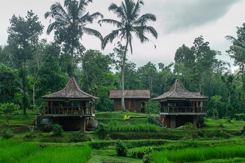 Tepi Sawah Lodge & Retreat image 2